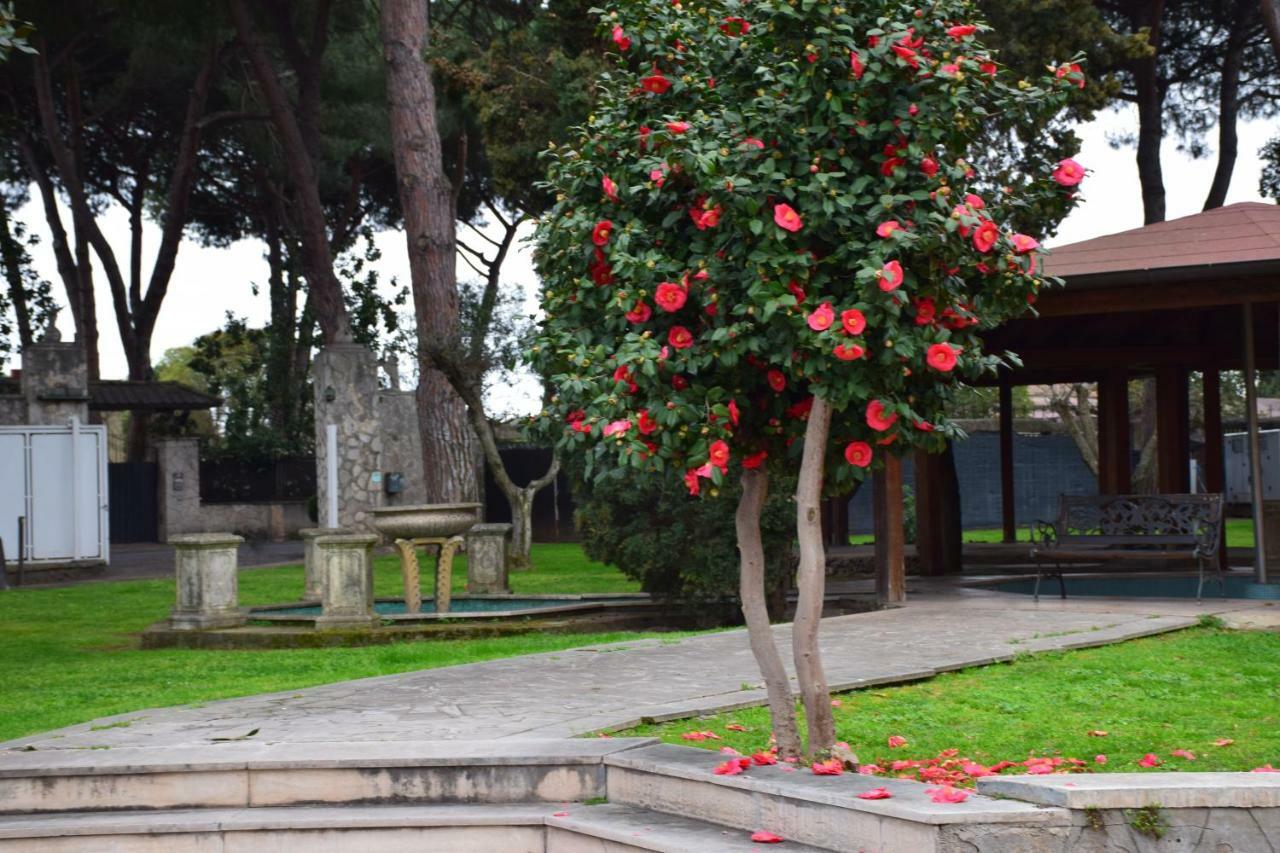 Mancini Park Hotel Roma Esterno foto